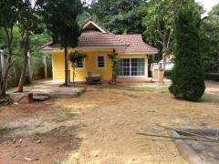 ขายที่ดินพร้อมสิ่งปลูกสร้าง-87-ตร.ว.-ถ