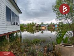 ขายที่ดิน เนื้อที่ 1 ไร่ 55.5 ตร.วา นางตะเคียน สมุทรสงคราม-202508251752191756119139363.jpg