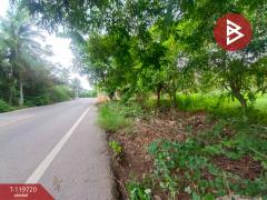 ขายที่ดิน เนื้อที่ 1 ไร่ 55.5 ตร.วา นางตะเคียน สมุทรสงคราม-202508251752221756119142021.jpg