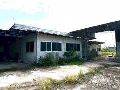 ให้เช่า โกดัง FA111 ผัง EEC สีเหลือง โครงสร้างแข็งแรง มีออฟฟิค บ้านพักคนงาน หนองหงษ์ พานทอง ชลบุรี . 1200 ตรม 2 ไร่ ใกล้อมตะชลบุรี 12 Km-202508252004081756127048380.jpg