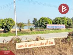 ขายที่ดินถมแล้ว เนื้อที่ 2งาน 60.2 ตร.วา ท่าโพธิ์ พิษณุโลก-202508261031161756179076273.jpg