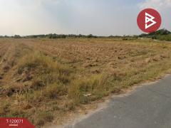 ขาย/เช่าที่ดิน เนื้อที่ 11 ไร่ 2 งาน 90 ตร.วา บ้านบึง ชลบุรี-202508261159171756184357547.jpg