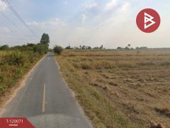 ขาย/เช่าที่ดิน เนื้อที่ 11 ไร่ 2 งาน 90 ตร.วา บ้านบึง ชลบุรี-202508261159181756184358610.jpg