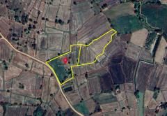 ขายที่ดิน บ้านยางเครือ ตำบลกุดน้ำใส อำเภอจัตุรัส ชัยภูมิ เนื้อที่ 16-1-31 ไร่