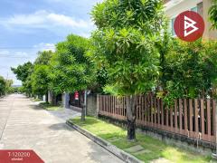 ขายบ้านเดี่ยว หมู่บ้านคาซ่า เพรสโต้ พระราม2 (Casa Presto Rama2) บางขุนเทียน กรุงเทพมหานคร-202508261458451756195125109.jpg