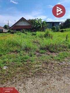 ขายที่ดิน เนื้อที่ 84.7 ตร.วา เทิง เชียงราย-202508261651591756201919769.jpg