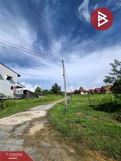 ขายที่ดิน เนื้อที่ 84.7 ตร.วา เทิง เชียงราย-202508261652001756201920307.jpg