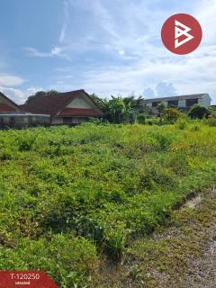 ขายที่ดิน เนื้อที่ 84.7 ตร.วา เทิง เชียงราย-202508261652001756201920847.jpg