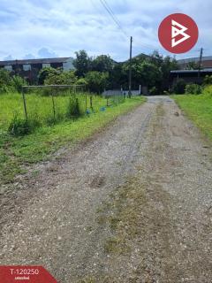 ขายที่ดิน เนื้อที่ 84.7 ตร.วา เทิง เชียงราย-202508261652011756201921418.jpg