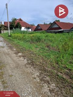 ขายที่ดิน เนื้อที่ 84.7 ตร.วา เทิง เชียงราย-202508261652011756201921963.jpg