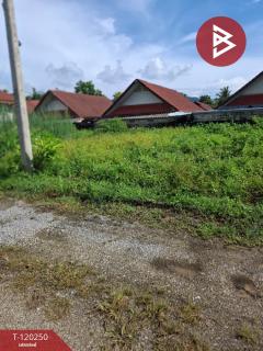 ขายที่ดิน เนื้อที่ 84.7 ตร.วา เทิง เชียงราย-202508261652021756201922485.jpg