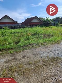 ขายที่ดิน เนื้อที่ 84.7 ตร.วา เทิง เชียงราย-202508261652031756201923006.jpg