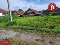 ขายที่ดิน เนื้อที่ 84.7 ตร.วา เทิง เชียงราย-202508261652031756201923541.jpg
