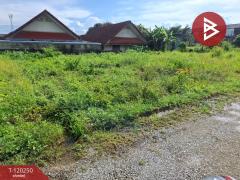 ขายที่ดิน เนื้อที่ 84.7 ตร.วา เทิง เชียงราย-202508261652041756201924081.jpg