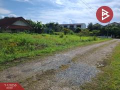 ขายที่ดิน เนื้อที่ 84.7 ตร.วา เทิง เชียงราย-202508261652041756201924618.jpg