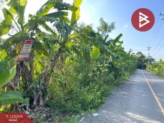 ขายที่ดิน ถ. ศาลายา5/8 เนื้อที่ 92 ตร.วา พุทธมณฑล นครปฐม-202508262356151756227375026.jpg