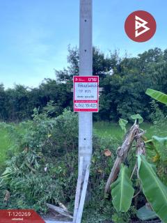 ขายที่ดิน ถ. ศาลายา5/8 เนื้อที่ 92 ตร.วา พุทธมณฑล นครปฐม-202508262356151756227375572.jpg