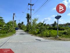 ขายที่ดิน ถ. ศาลายา5/8 เนื้อที่ 92 ตร.วา พุทธมณฑล นครปฐม-202508262356161756227376094.jpg