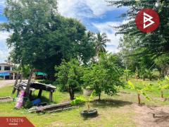 ขายที่ดิน เนื้อที่ 1 ไร่ 1 งาน 86 ตร.วา วัดสิงห์ ชัยนาท-202508270017361756228656961.jpg