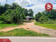 ขายที่ดิน เนื้อที่ 1 ไร่ 1 งาน 86 ตร.วา วัดสิงห์ ชัยนาท-202508270017381756228658828.jpg