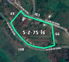 ขายบ้านสวน วิวภูเขาและวิวทุ่งนา 5-2-75 ไร่ สะเมิงเหนือ เชียงใหม่-202508270241311756237291980.jpg