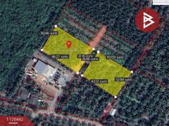 ขายที่ดิน เนื้อที่ 1 ไร่ 3 งาน 13.8 ตร.วา ลาดใหญ่ สมุทรสงคราม-202508270858151756259895740.jpg