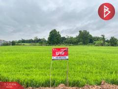 ขายที่ดิน-เนื้อที่-1-ไร่-ท่าโพธิ์-พิษ