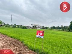 ขายที่ดิน เนื้อที่ 1 ไร่ ท่าโพธิ์ พิษณุโลก-202508270910151756260615367.jpg