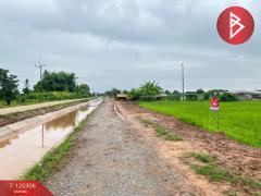 ขายที่ดิน เนื้อที่ 1 ไร่ ท่าโพธิ์ พิษณุโลก-202508270910161756260616351.jpg