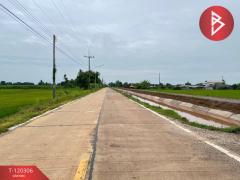 ขายที่ดิน เนื้อที่ 1 ไร่ ท่าโพธิ์ พิษณุโลก-202508270910161756260616832.jpg