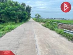 ขายที่ดิน เนื้อที่ 1 ไร่ ท่าโพธิ์ พิษณุโลก-202508270910171756260617809.jpg