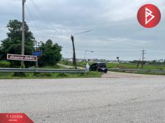 ขายที่ดิน เนื้อที่ 1 ไร่ ท่าโพธิ์ พิษณุโลก-202508270910181756260618775.jpg