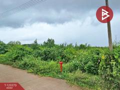 ขายที่ดิน เนื้อที่ 5 ไร่ ขลุง จันทบุรี-202508270959591756263599307.jpg