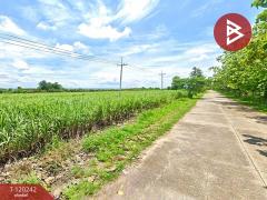 ขายที่ดิน เนื้อที่ 24 ไร่ 47.3 ตร.วา  พัฒนานิคม ลพบุรี-202508271037001756265820865.jpg