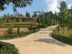ขายสวนทุเรียน ขั้นบันได พร้อมบ้านตากอากาศบนเนินเขา สไตส์รีสอร์ท วิวหลักล้าน 11ไร่ อ.มะขาม จันทบุรี โทร 0830132000-202508271053551756266835199.jpg