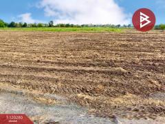 ขายที่ดิน เนื้อที่ 1 ไร่ 42 ตร.วา ชัยบาดาล ลพบุรี-202508271122271756268547799.jpg