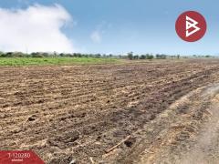 ขายที่ดิน เนื้อที่ 1 ไร่ 42 ตร.วา ชัยบาดาล ลพบุรี-202508271122281756268548346.jpg