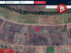 ขายที่ดิน เนื้อที่ 1 ไร่ 42 ตร.วา ชัยบาดาล ลพบุรี-202508271122281756268548888.jpg