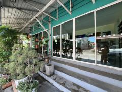 ขายอาคารพาณิชย์ ซอยหมอประมวล ตำบลหนองหาร อำเภอสันทราย จังหวัดเชียงใหม่-202508271155581756270558144.jpg