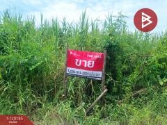 ขายที่ดิน เนื้อที่ 1 ไร่ 48.8 ตร.วา โพรงมะเดื่อ นครปฐม-202508271214531756271693721.jpg
