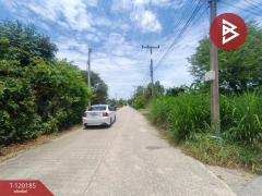ขายที่ดิน เนื้อที่ 1 ไร่ 48.8 ตร.วา โพรงมะเดื่อ นครปฐม-202508271214541756271694829.jpg
