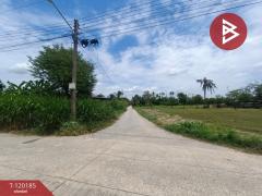 ขายที่ดิน เนื้อที่ 1 ไร่ 48.8 ตร.วา โพรงมะเดื่อ นครปฐม-202508271214551756271695360.jpg