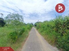 ขายที่ดิน เนื้อที่ 1 ไร่ 48.8 ตร.วา โพรงมะเดื่อ นครปฐม-202508271214551756271695894.jpg