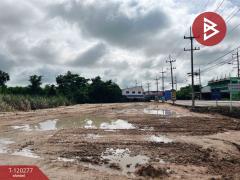  ขายที่ดิน เนื้อที่ 8 ไร่ 3 งาน 0.8 ตร.วา หนองฉาง อุทัยธานี-202508271248481756273728941.jpg