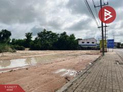  ขายที่ดิน เนื้อที่ 8 ไร่ 3 งาน 0.8 ตร.วา หนองฉาง อุทัยธานี-202508271248491756273729471.jpg