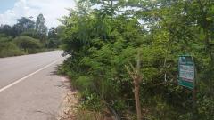 ขายที่ดินเปล่า 2 ไร่ อำเภอเมือง จังหวัดชัยภูมิ