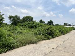 ขายที่ดินผังสีเขียว 6-1-31.7 ไร่ ใกล้ถนนมิตรภาพ – นครราชสีมา-202508271402531756278173238.jpg