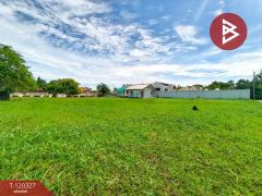 ขายที่ดิน ในหมู่บ้านสาริน เนื้อที่ 2 งาน 49.5 ตร.วา โคกขาม สมุทรสาคร-202508271421421756279302068.jpg