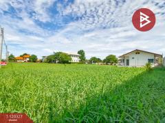 ขายที่ดิน ในหมู่บ้านสาริน เนื้อที่ 2 งาน 49.5 ตร.วา โคกขาม สมุทรสาคร-202508271421421756279302610.jpg
