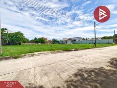 ขายที่ดิน ในหมู่บ้านสาริน เนื้อที่ 2 งาน 49.5 ตร.วา โคกขาม สมุทรสาคร-202508271421441756279304196.jpg
